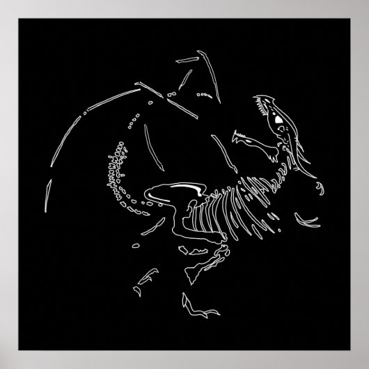 Dragon Fossils Poster (Voorkant)