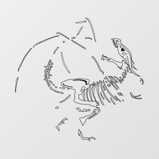 Dragon Fossils Raamsticker (Vel)