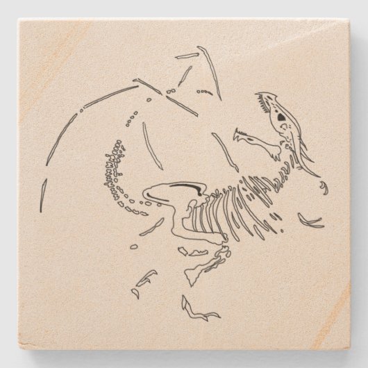 Dragon Fossils Stenen Onderzetter (Voorkant)