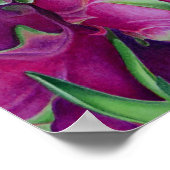 Dragon Fruit Poster (Hoek)