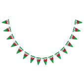 Dragon gallois ~ Drapeau du Pays de Galles (Tout)