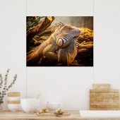 Dragon Iguana Posters (Keuken)