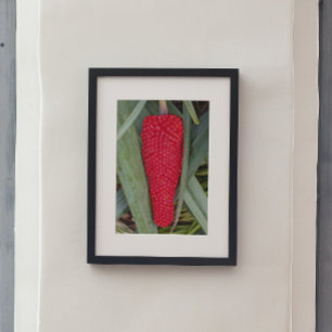 Dragon Lily Rood Zaad Hoofd Perfect Poster