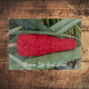 Dragon Lily Rood Zaad Hoofd Snijplank
