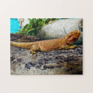 Dragon Lizard Legpuzzel