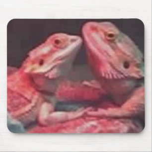 Dragon Love Muismat