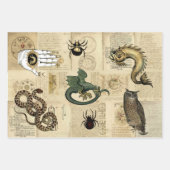  dragon Magical Beasts Grimoire Inpakpapier Vel (Voorkant)