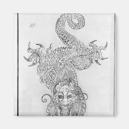 Dragon Magneet (Voorkant)