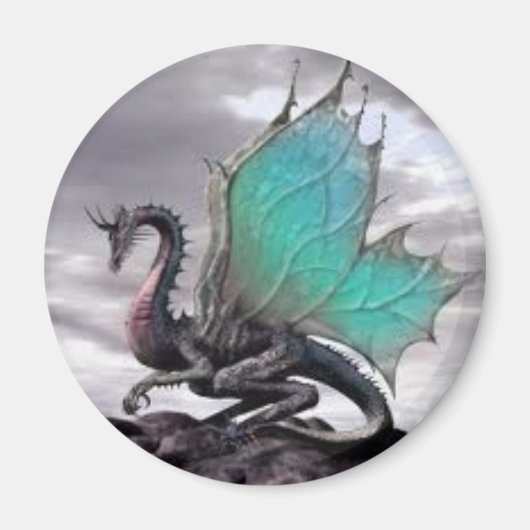 " Dragon Magnet ! " (Devant)