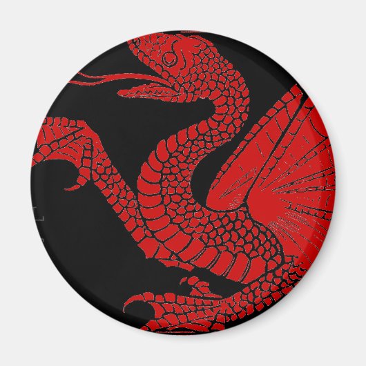 Dragon Magnet Magneet (Voorkant)