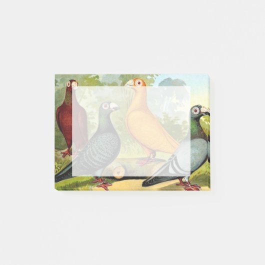 Dragon Pigeon Birds Post-it® Notes (Voorkant)