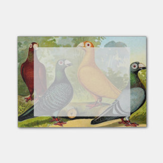 Dragon Pigeon Birds Post-it® Notes