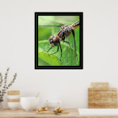 Dragon Poster (Keuken)