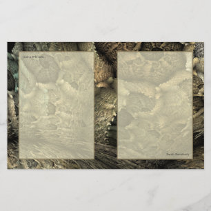 Dragon Skin Fractal Art-laptop Briefpapier