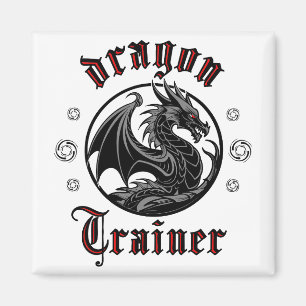 Dragon Trainer Fantasy Lizard Mythisch Wezen Magneet