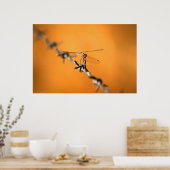 Dragondraad Poster (Keuken)