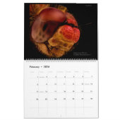Dragonflies 2022 kalender (Feb 2026)