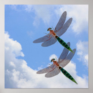 Dragonflies blauwe hemel en witte wolken poster