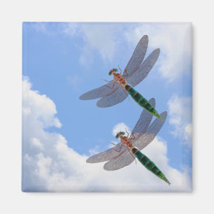 Dragonflies Blue Sky Clouds Natuur Magnet Magneet