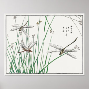 Dragonflies en Reed Grass van Morimoto Toko, Poster