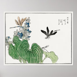 Dragonflies op een waterhyacinthe door Morimoto To Poster