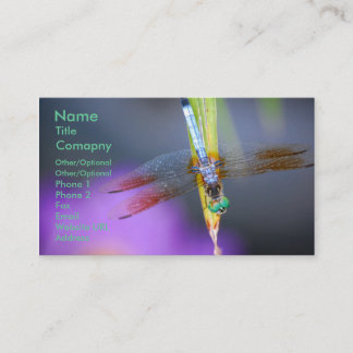 Dragonfly 1 - sjabloon voor visitekaartjes