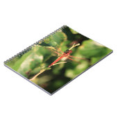 Dragonfly #3725 Carnet (Côté gauche)