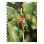 Dragonfly #3725 Carnet (Devant)