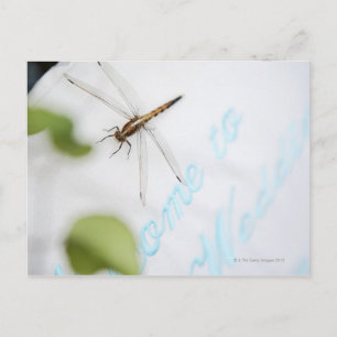 Dragonfly 4 briefkaart