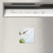 Dragonfly 4 magneet (Insitu (Vaatwasser))