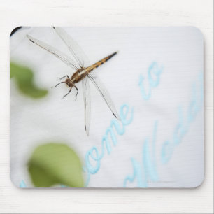 Dragonfly 4 muismat