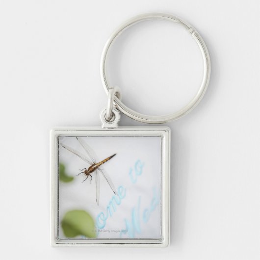 Dragonfly 4 sleutelhanger (Voorkant)