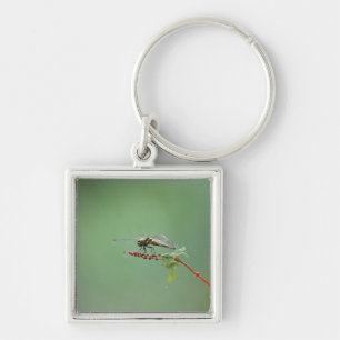 Dragonfly 6 sleutelhanger