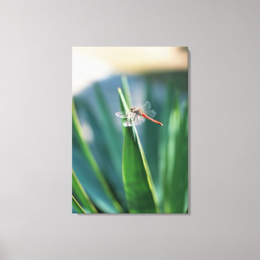Dragonfly 8 canvas afdruk (Voorkant)