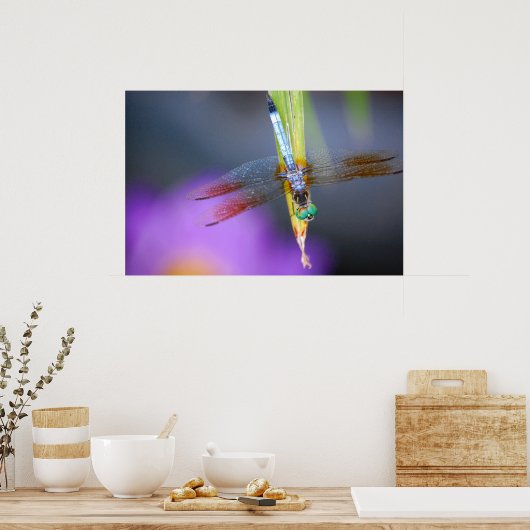 Dragonfly - affiche / impression (Cuisine)