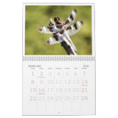 Dragonfly Agenda 2011 Kalender (Feb 2026)