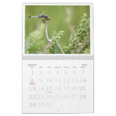 Dragonfly Agenda 2011 Kalender (Mar 2026)