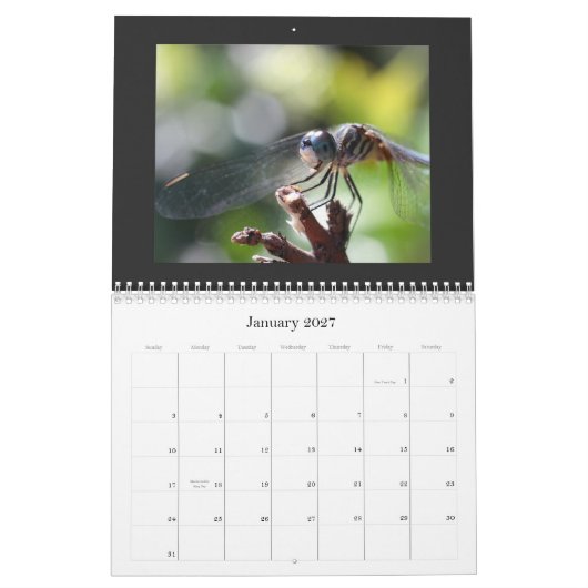 Dragonfly Agenda 2011 Kalender (Jan 2027)