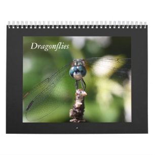 Dragonfly Agenda 2011 Kalender