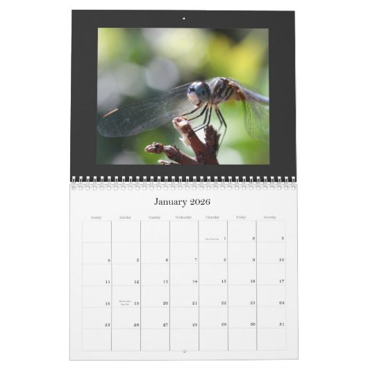 Dragonfly Agenda 2011 Kalender (Jan 2026)