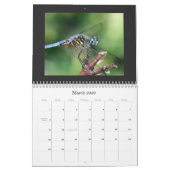 Dragonfly Agenda 2011 Kalender (Mar 2026)