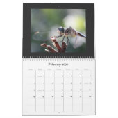 Dragonfly Agenda 2011 Kalender (Feb 2026)