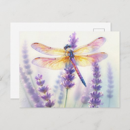 Dragonfly Among Lavender Flowers Carte Postale (Devant / Derrière)