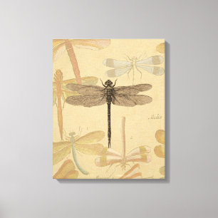 Dragonfly Antiek Classic Natuur Canvas Afdruk