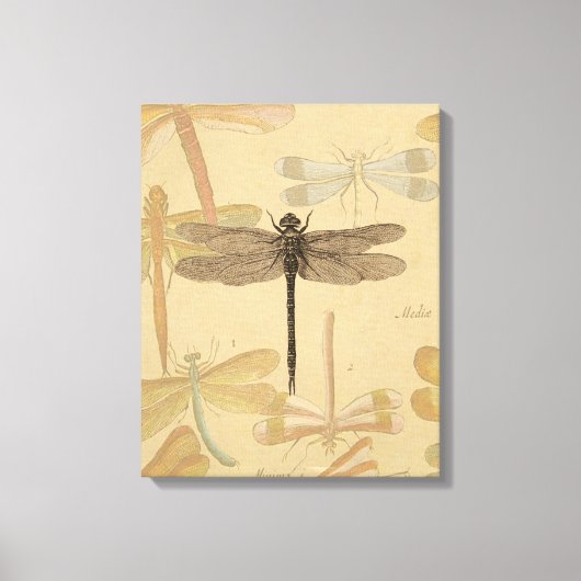Dragonfly Antiek Classic Natuur Canvas Afdruk (Voorkant)