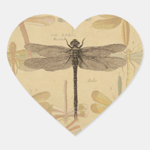 Dragonfly Antiek Classic Natuur Hart Sticker