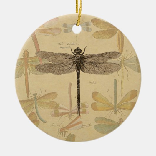 Dragonfly Antiek Classic Natuur Keramisch Ornament (Voorkant)
