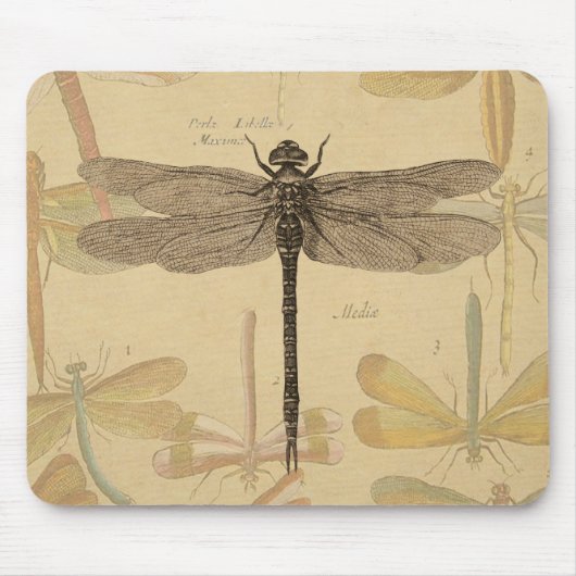 Dragonfly  Antiek Classic Natuur Muismat (Voorkant)