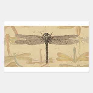 Dragonfly Antiek Classic Natuur Rechthoekige Sticker