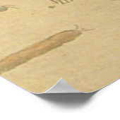 Dragonfly Antiek Klassieke tekening Poster (Hoek)